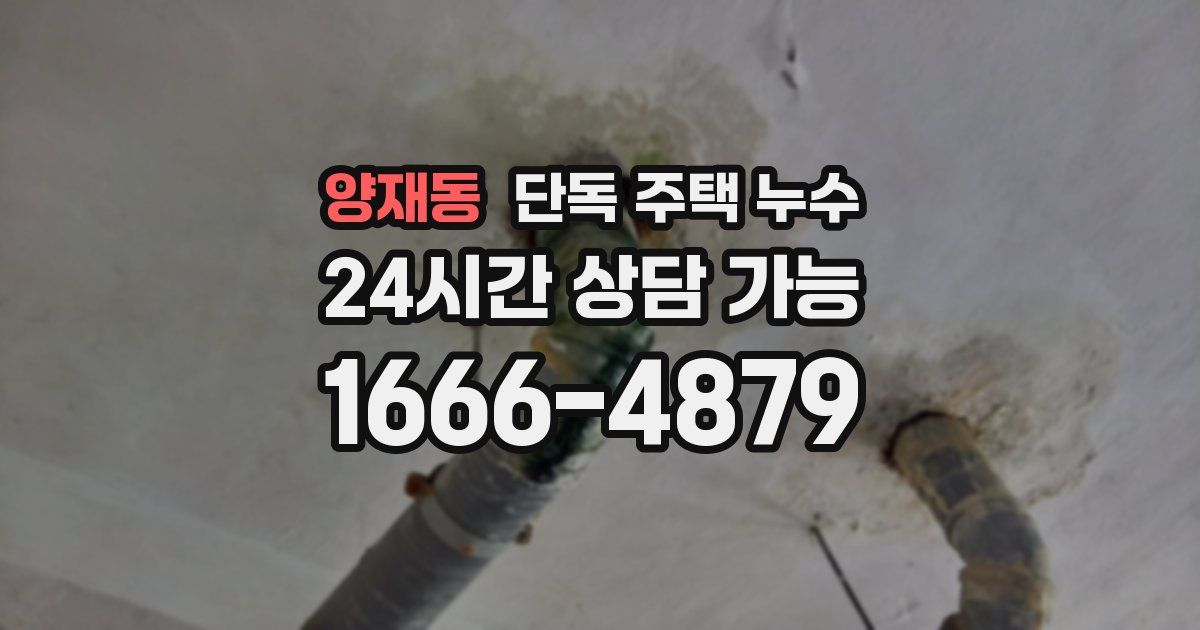 양재동 단독 주택 누수