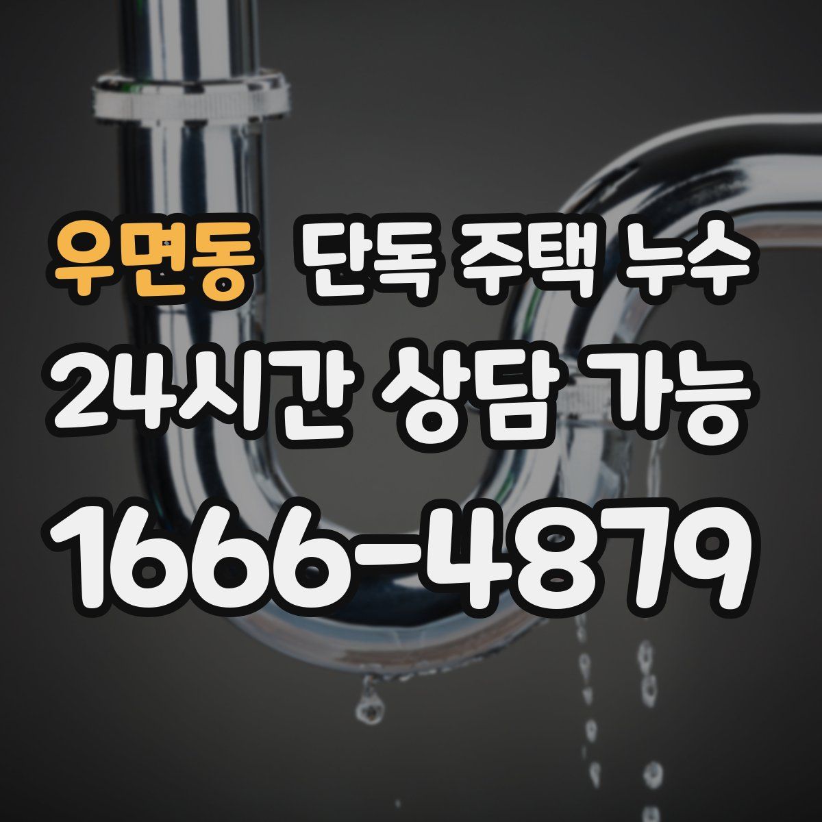 우면동 단독 주택 누수