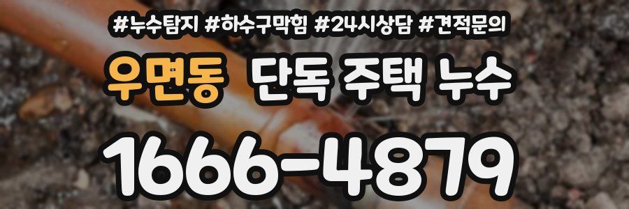 우면동 단독 주택 누수