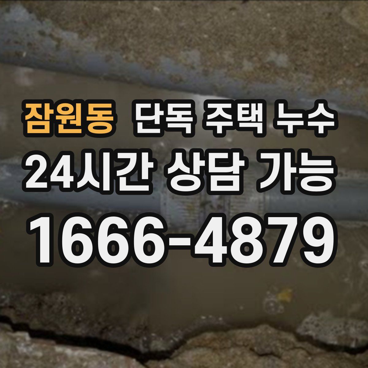 잠원동 단독 주택 누수