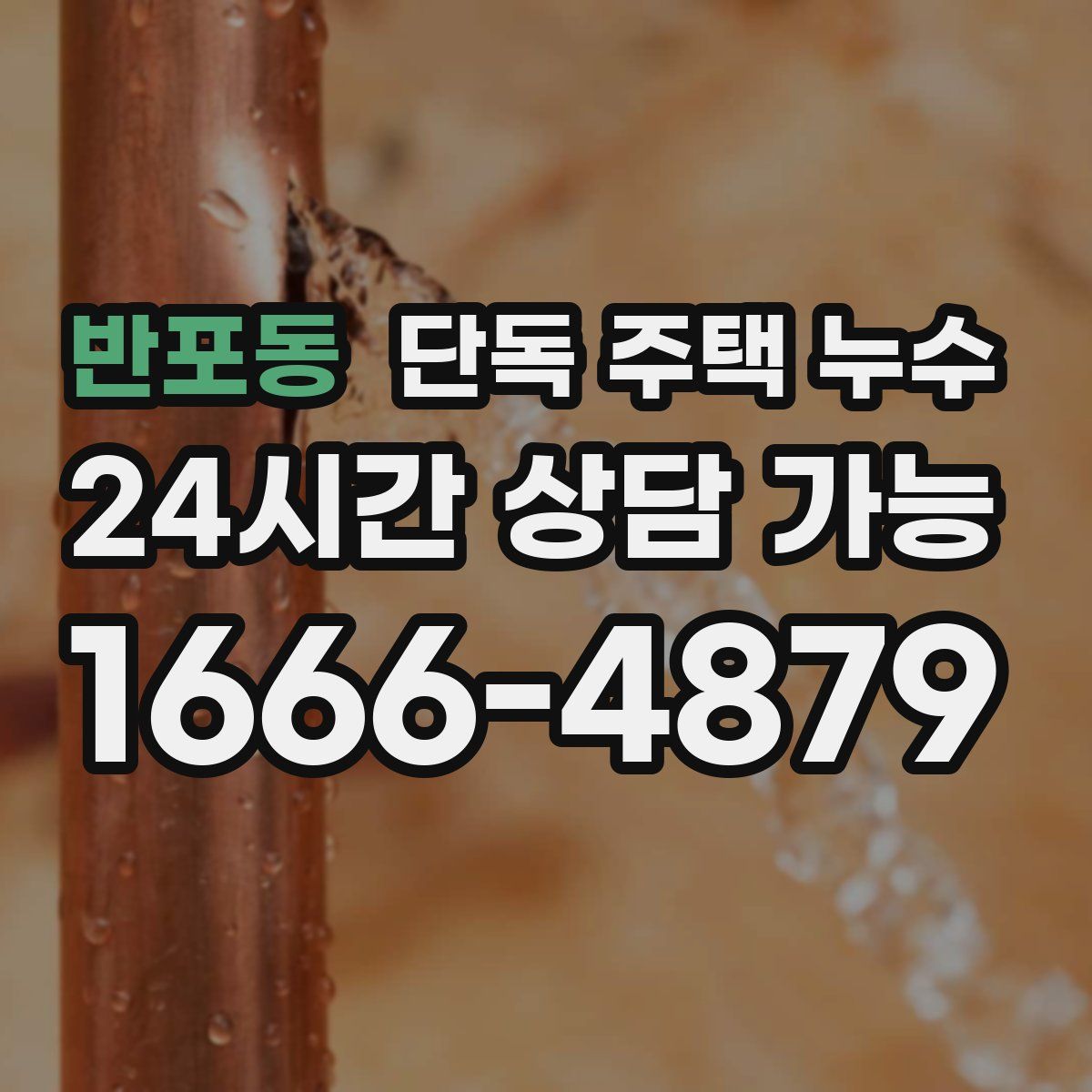 반포동 단독 주택 누수