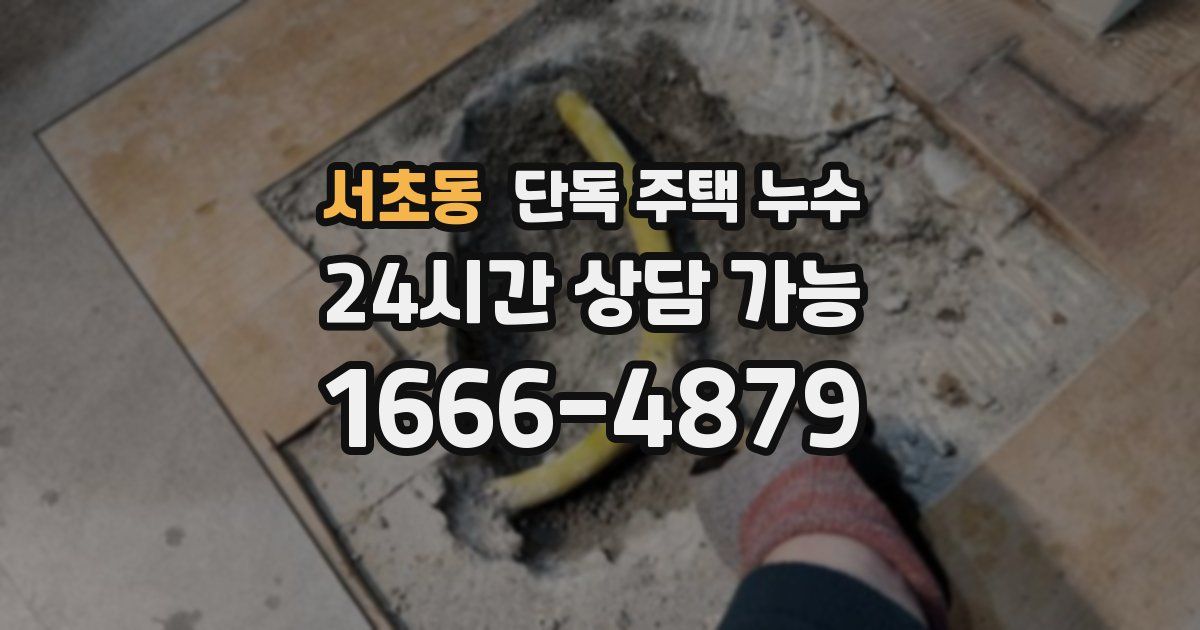 서초동 단독 주택 누수