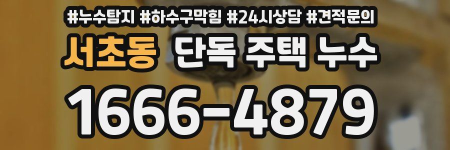 서초동 단독 주택 누수