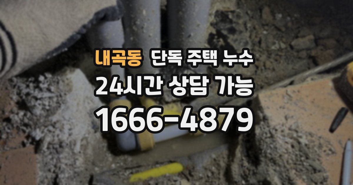 내곡동 단독 주택 누수
