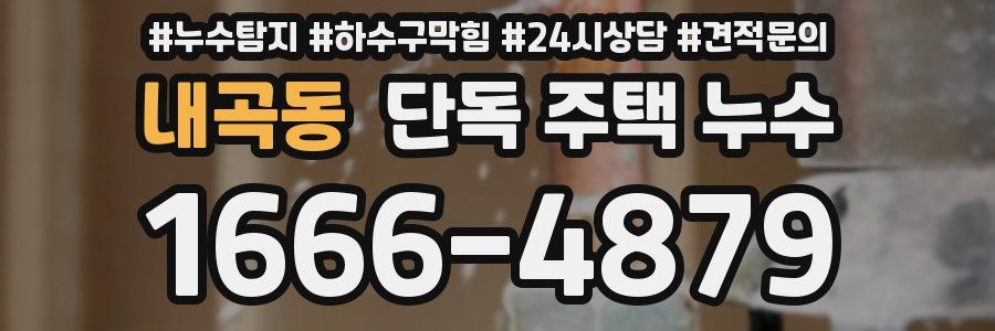 내곡동 단독 주택 누수