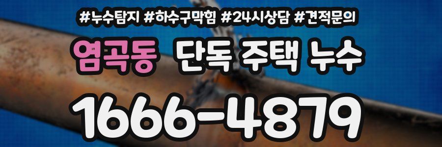 염곡동 단독 주택 누수