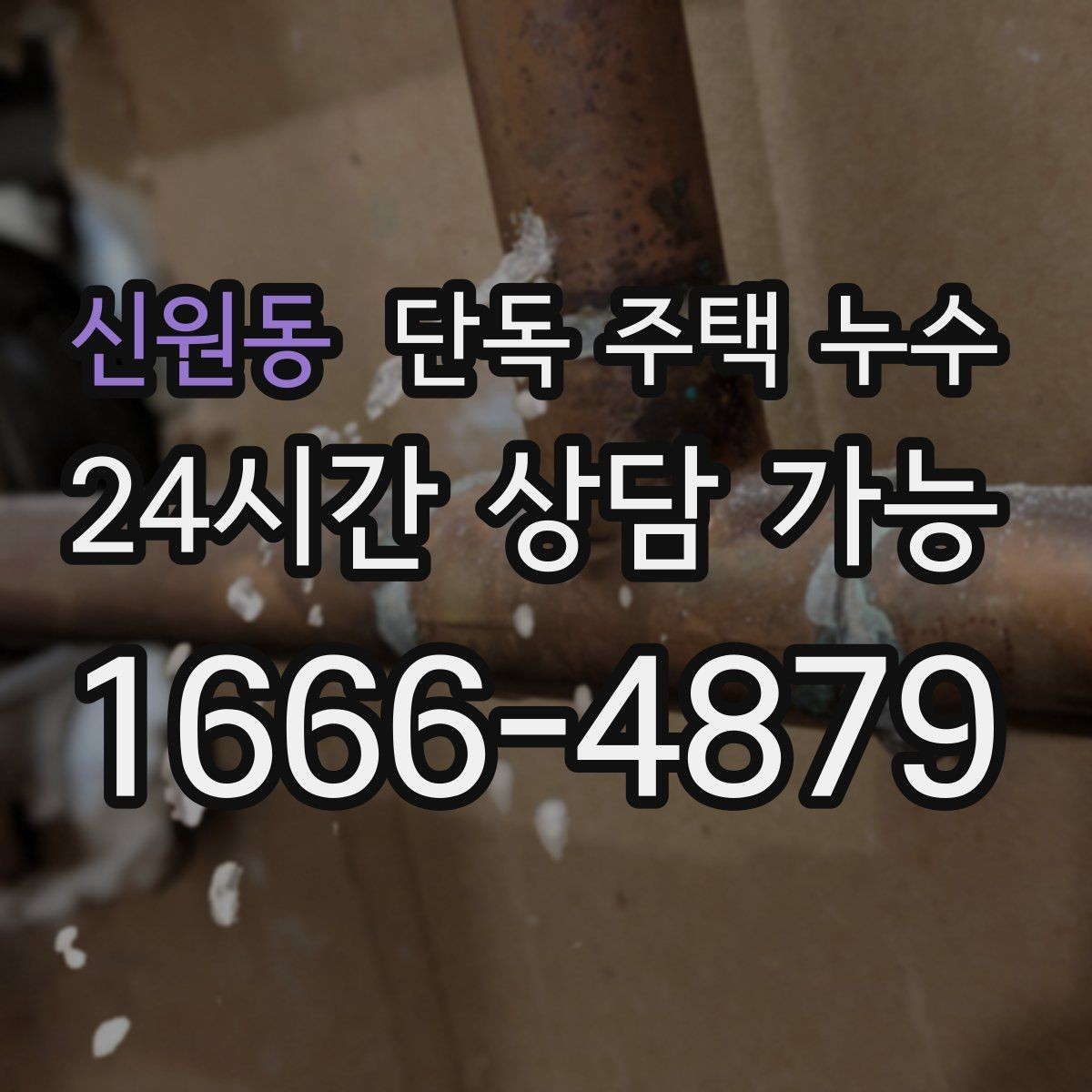 신원동 단독 주택 누수 싱크대 뒤 벽면 변색이 생겼을 때