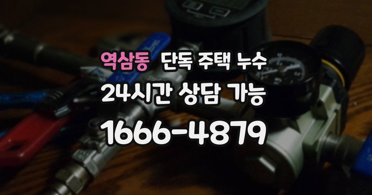 역삼동 단독 주택 누수