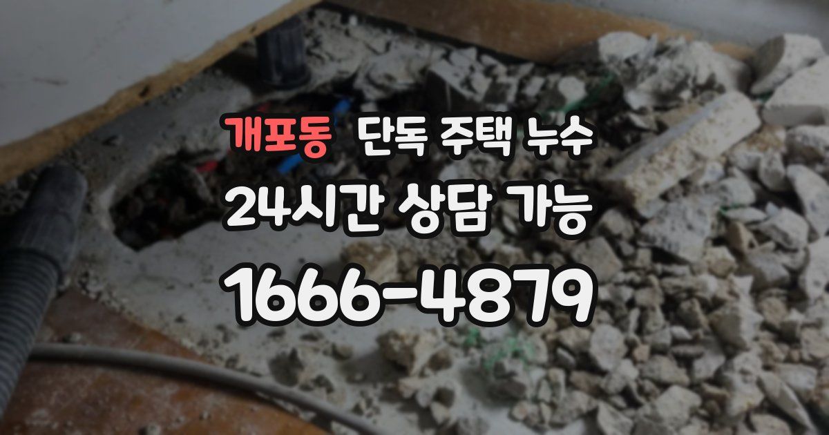 개포동 단독 주택 누수