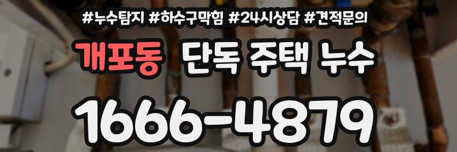 개포동 단독 주택 누수