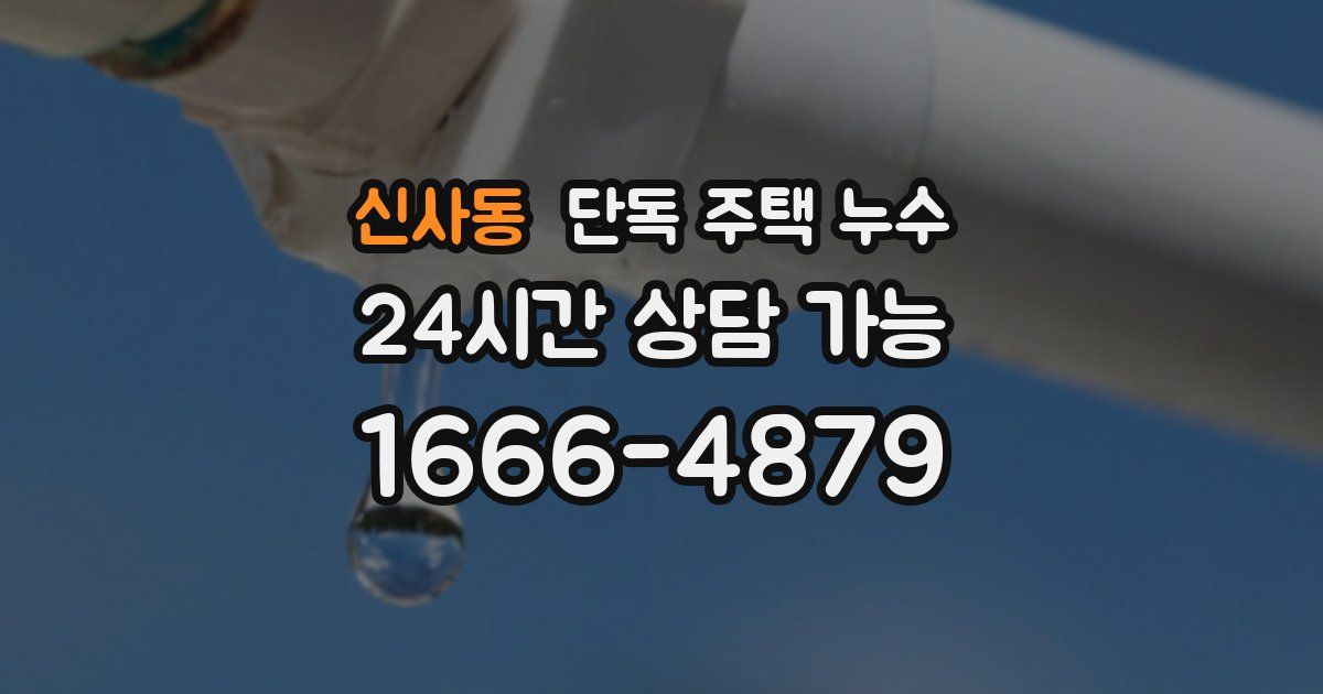 신사동 단독 주택 누수