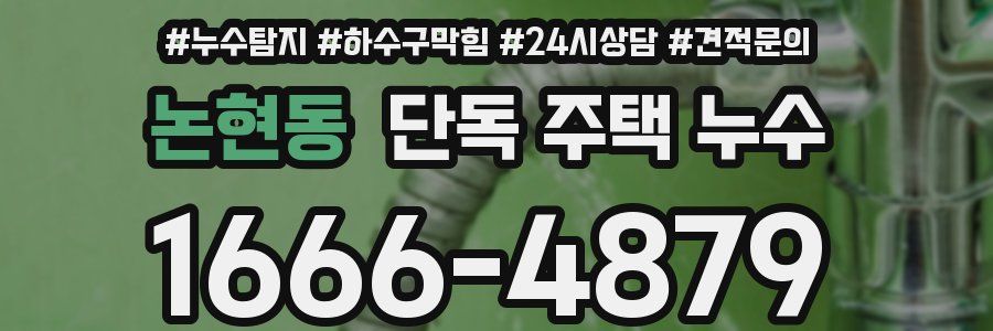 논현동 단독 주택 누수