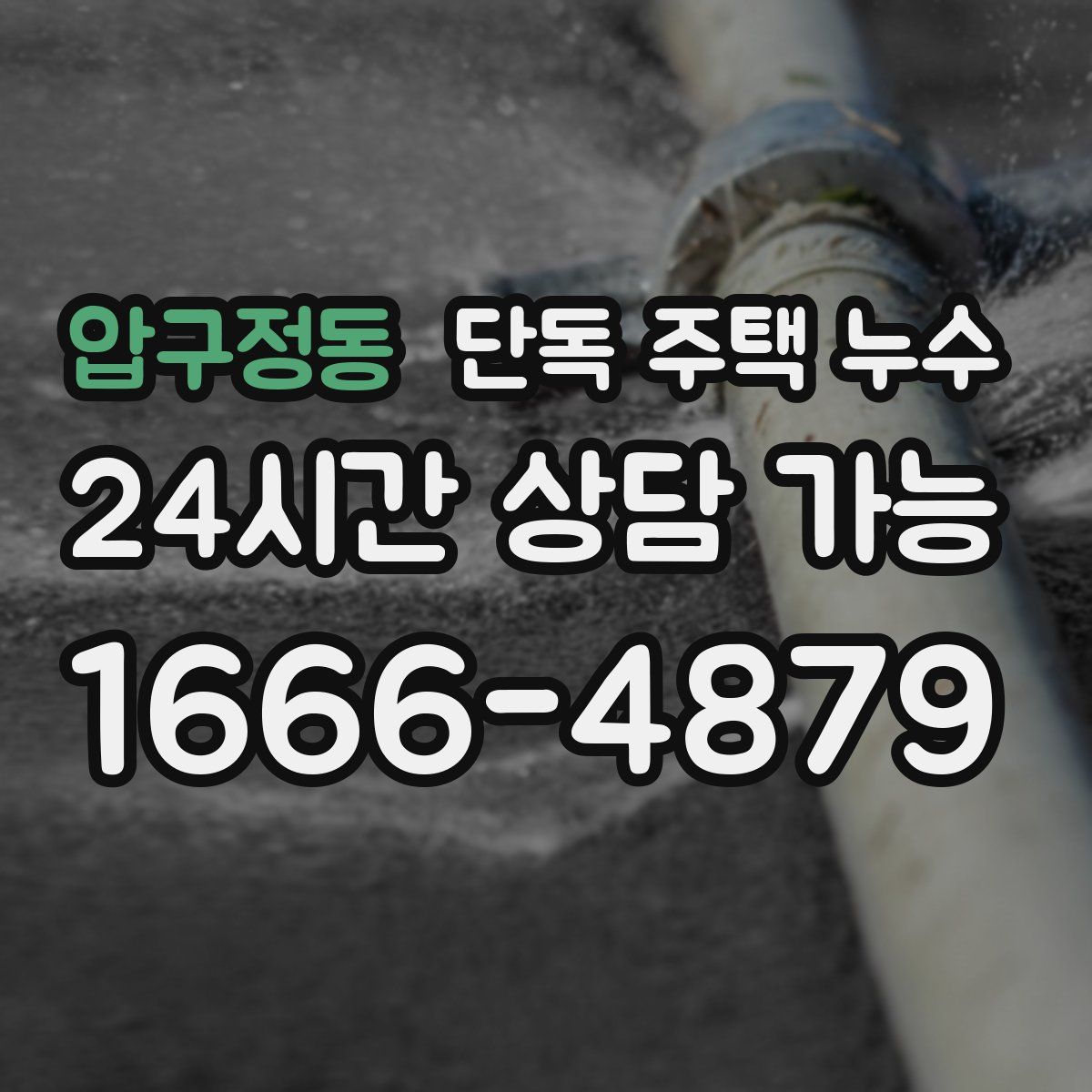 압구정동 단독 주택 누수