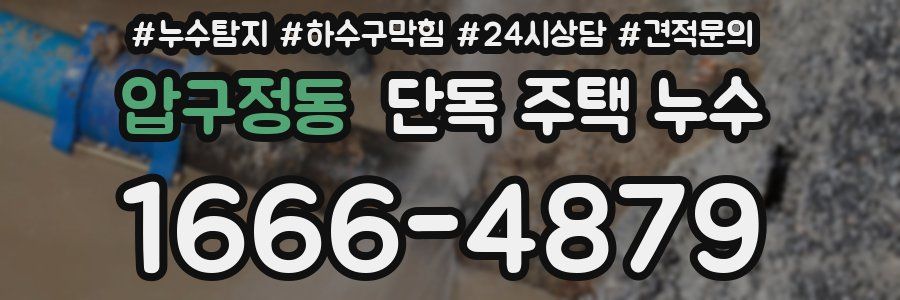 압구정동 단독 주택 누수