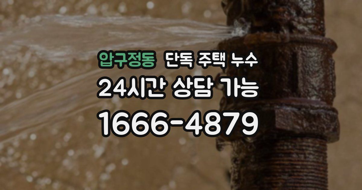 압구정동 단독 주택 누수