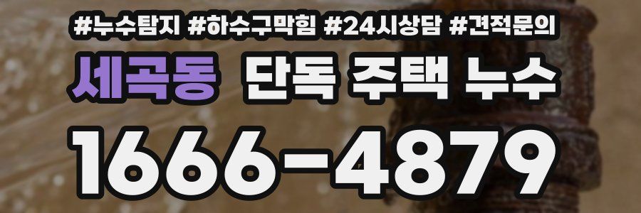 세곡동 단독 주택 누수