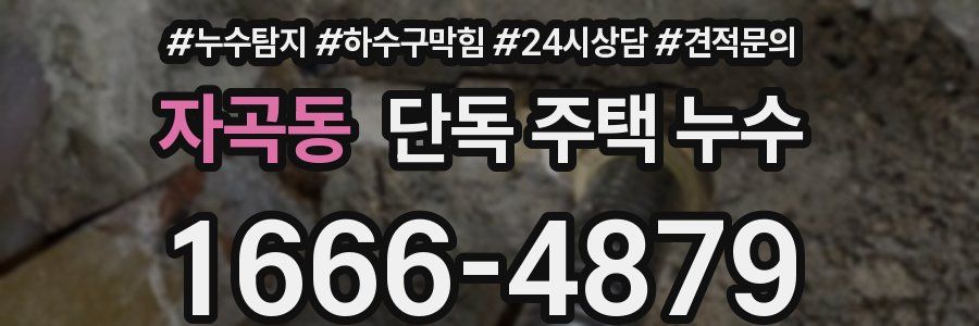 자곡동 단독 주택 누수