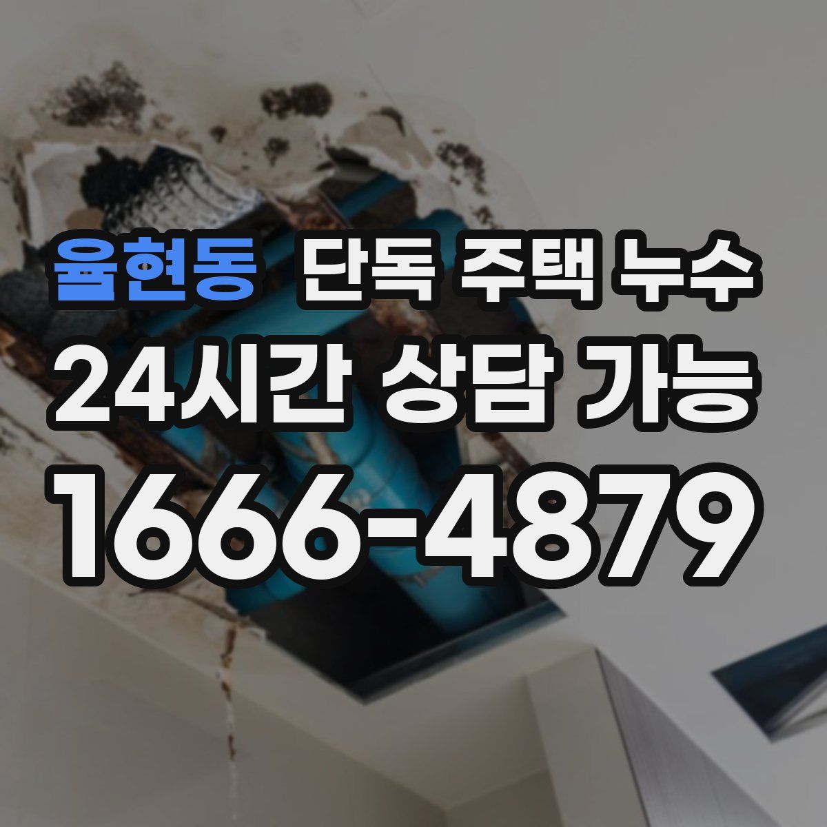 율현동 단독 주택 누수