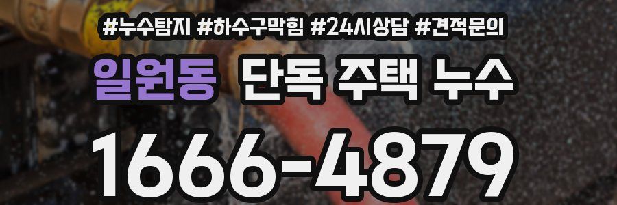 일원동 단독 주택 누수