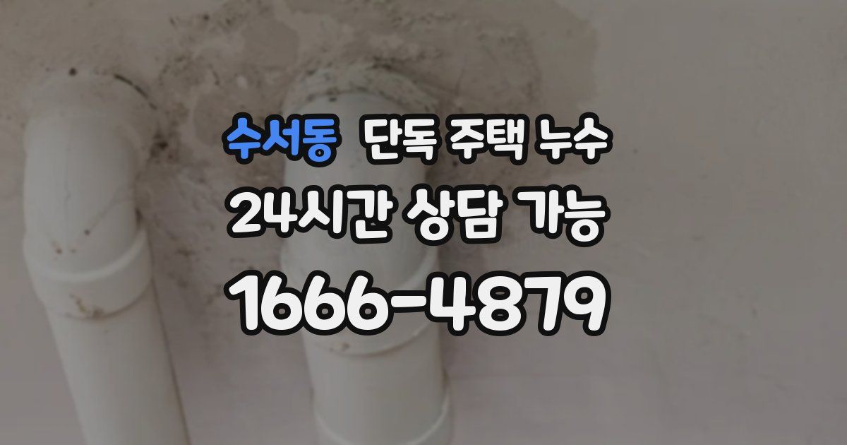 수서동 단독 주택 누수