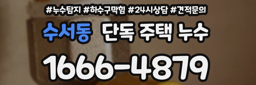 수서동 단독 주택 누수