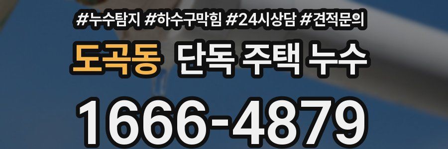 도곡동 단독 주택 누수