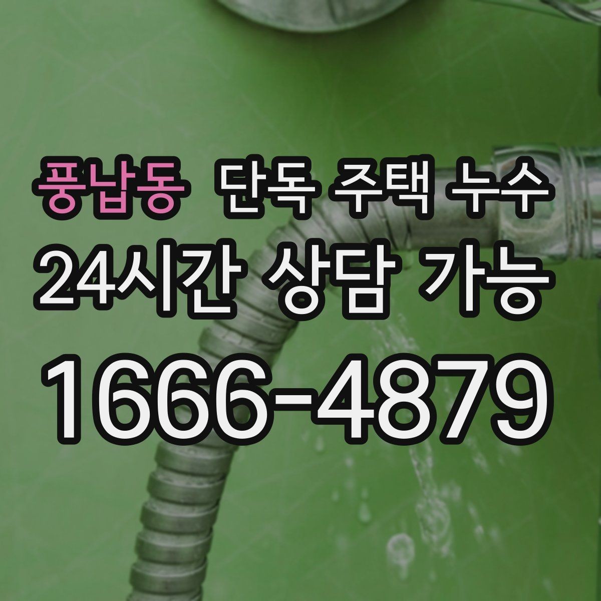 풍납동 단독 주택 누수 세탁실 배수구 주변이 축축할 때