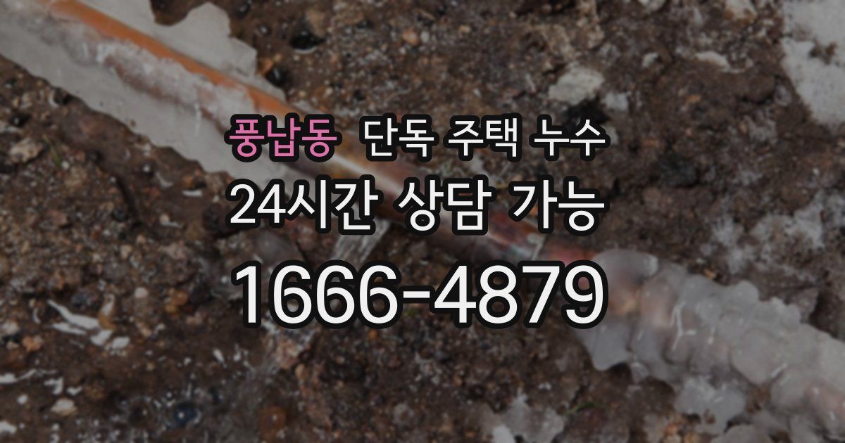풍납동 단독 주택 누수