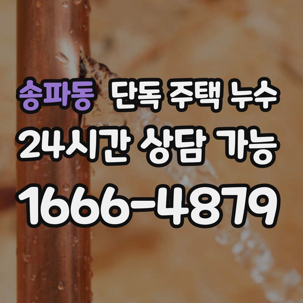 송파동 단독 주택 누수