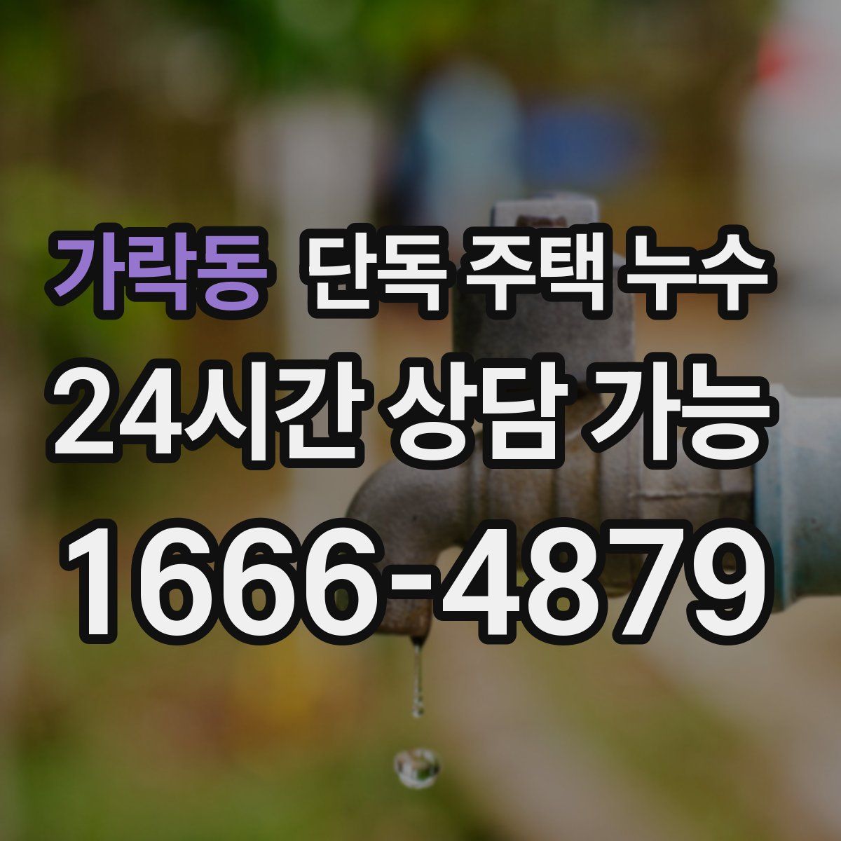 가락동 단독 주택 누수