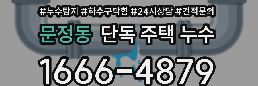 문정동 단독 주택 누수