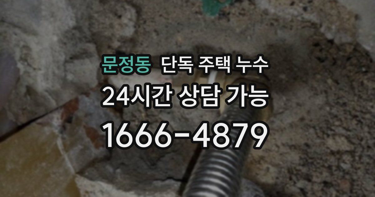 문정동 단독 주택 누수