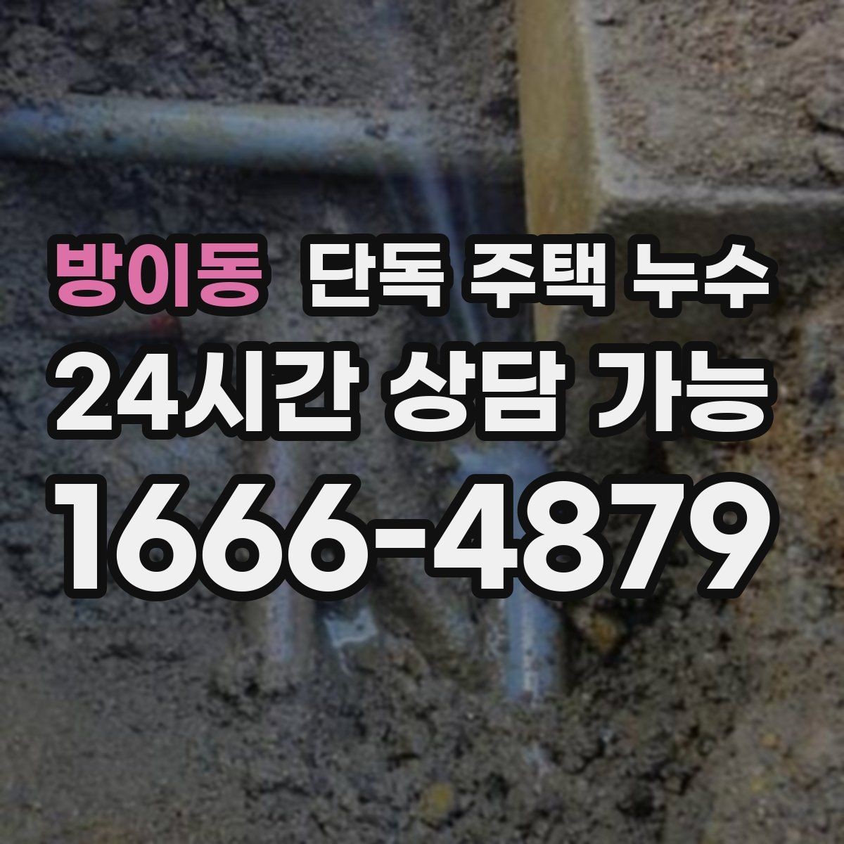 방이동 단독 주택 누수 다용도실 배수 주변 곰팡이 반복될 때
