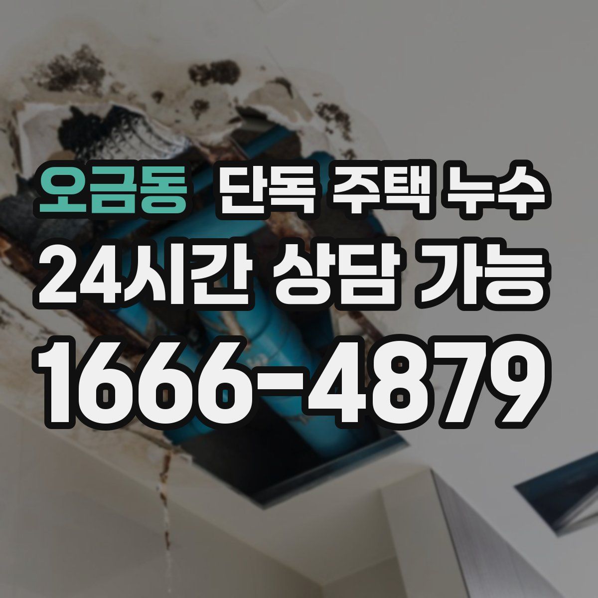 오금동 단독 주택 누수