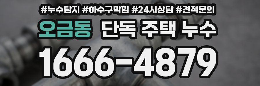 오금동 단독 주택 누수