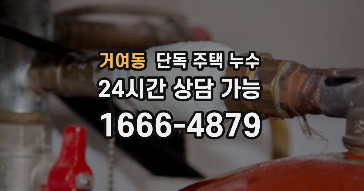 거여동 단독 주택 누수