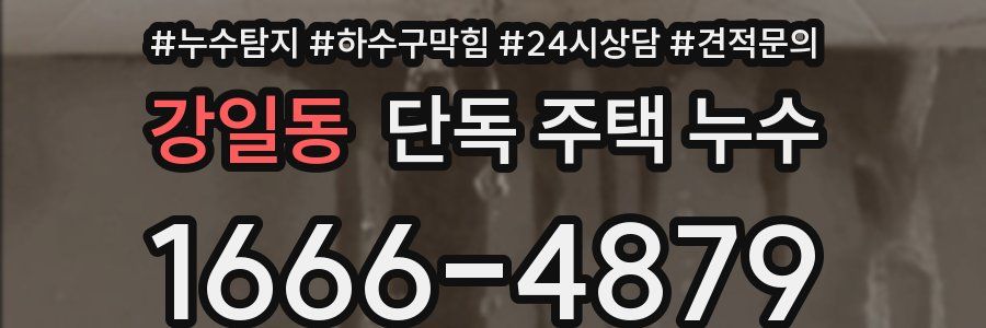 강일동 단독 주택 누수