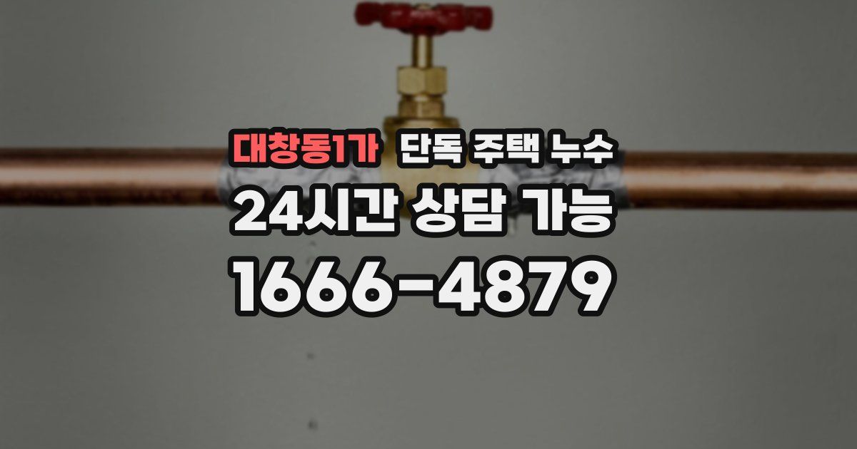 대창동1가 단독 주택 누수