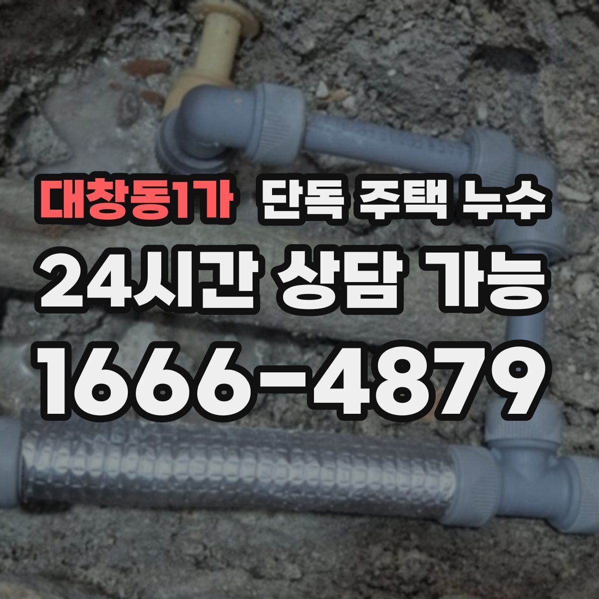 대창동1가 단독 주택 누수