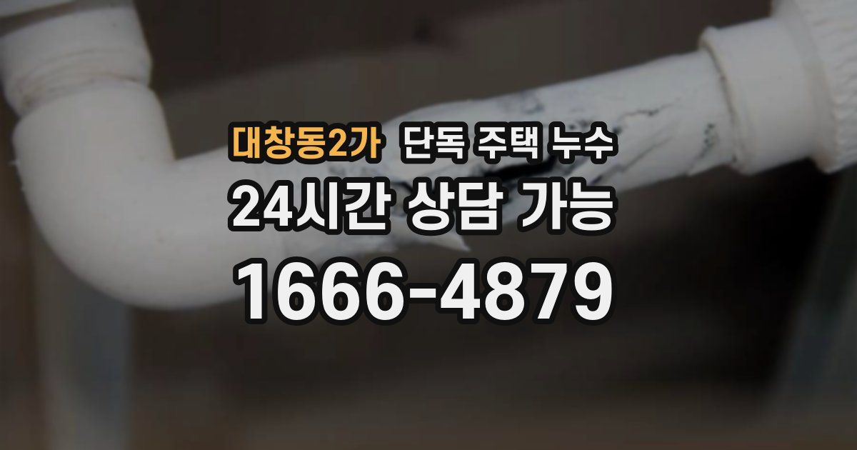 대창동2가 단독 주택 누수