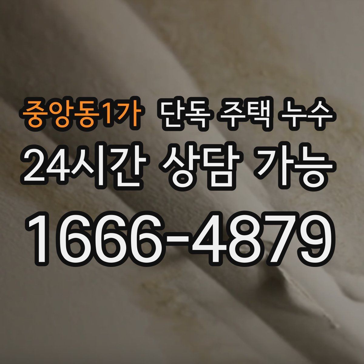 중앙동1가 단독 주택 누수 배수관 누수로 바닥이 젖는 경우