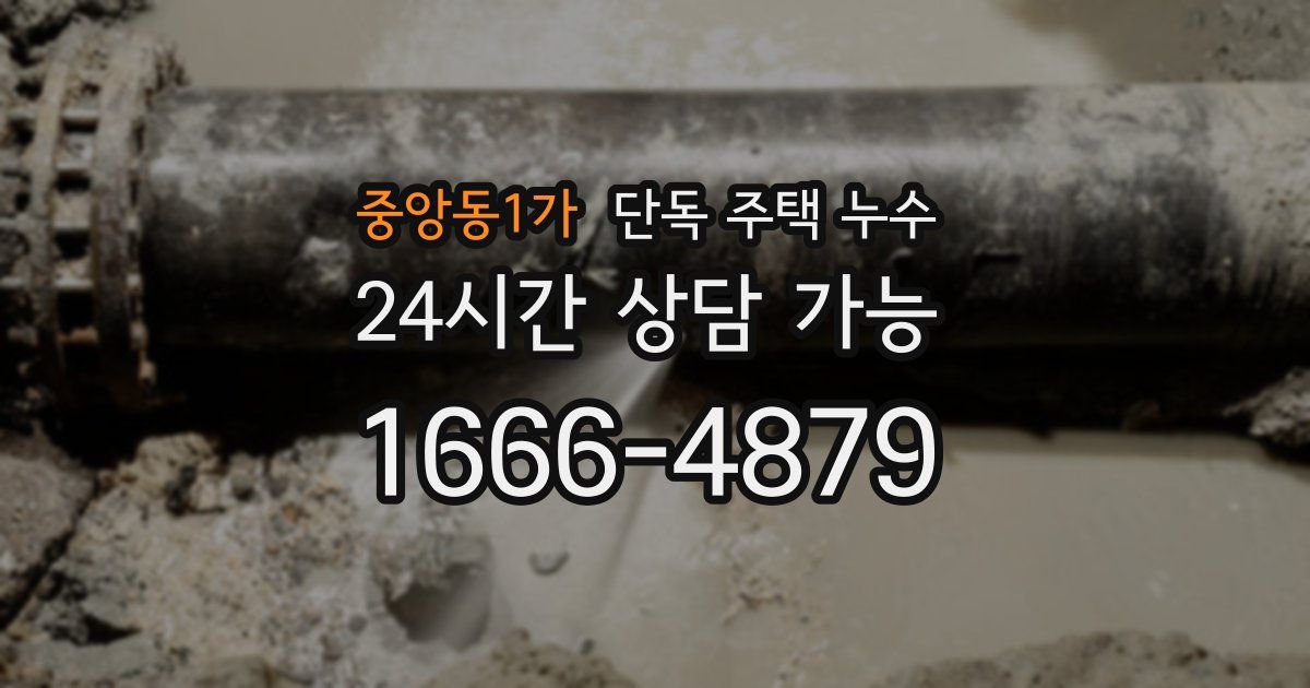 중앙동1가 단독 주택 누수