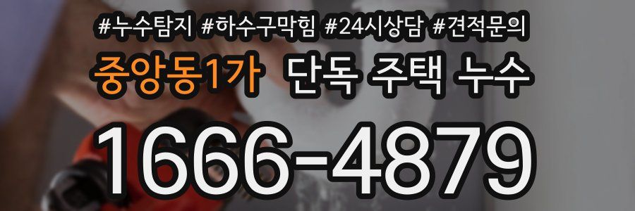 중앙동1가 단독 주택 누수