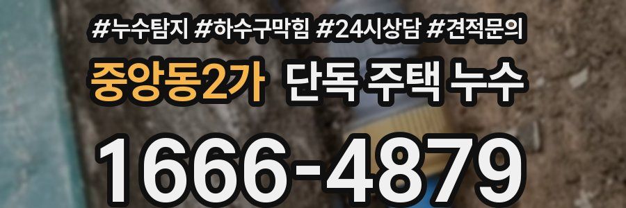 중앙동2가 단독 주택 누수
