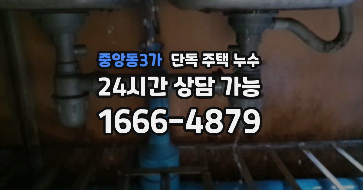 중앙동3가 단독 주택 누수