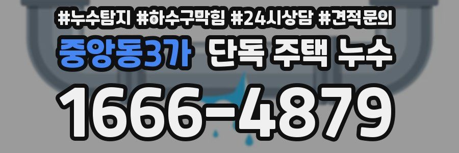 중앙동3가 단독 주택 누수