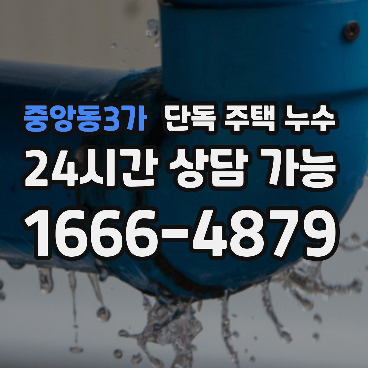 중앙동3가 단독 주택 누수