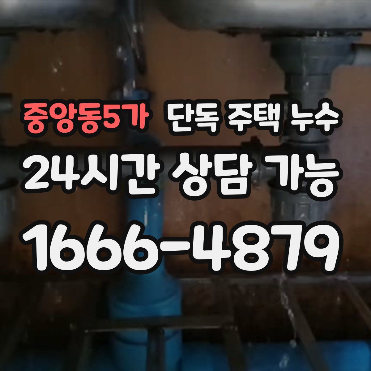 중앙동5가 단독 주택 누수