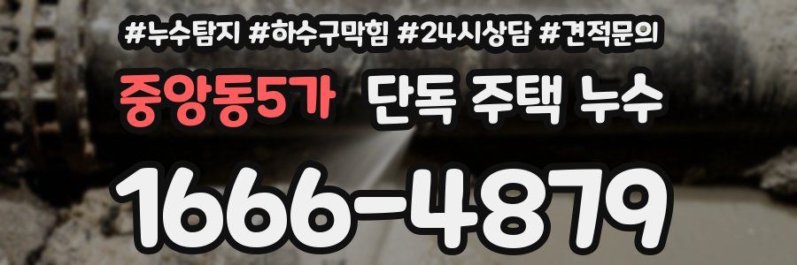 중앙동5가 단독 주택 누수