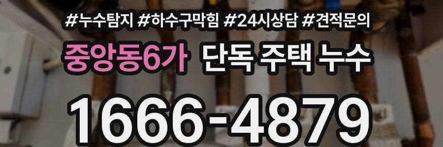 중앙동6가 단독 주택 누수